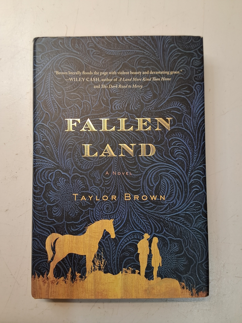 Fallen Land by Taylor Brown